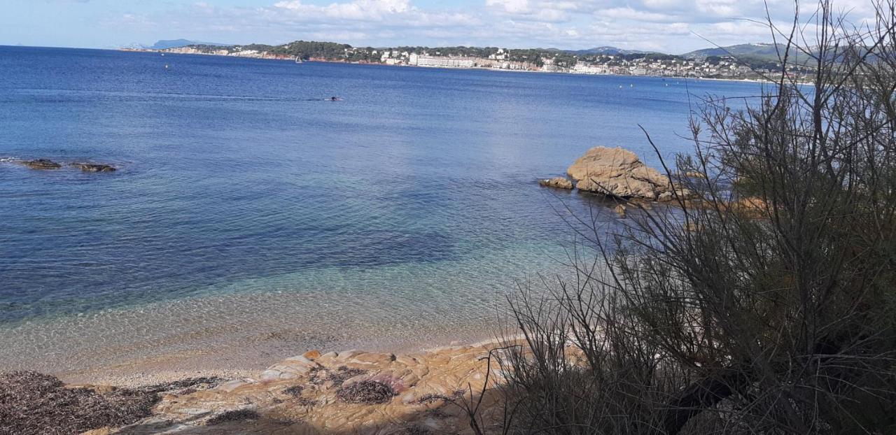 Suite & Spa Just Dream 28 Six-Fours-les-Plages Exteriör bild